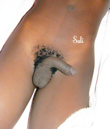 sweet dreams are made off this 58794584286a4.jpg