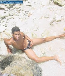 Caribian sweetboys 590d87a75590a.jpg