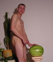 veganer sex