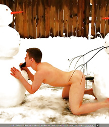 Cocks and Toys 57cbf5d01bede.jpg