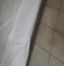 CockGif 57f65c25969c6.gif