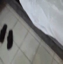 CockGif 57f65c607364f.gif