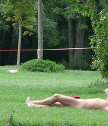 A shit load of random pics 57e424d6cf5c0.jpg