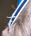 Uploaded by:newcastlelad3 57e70d4259489.jpg
