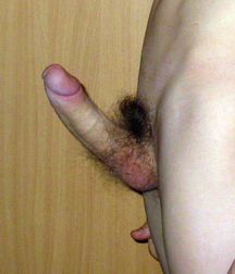 Good dick for your ass (26) 58c5891600335.jpg
