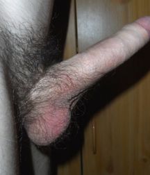 Good dick for your ass (102) 593c0e9b78d4b.jpg