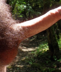 Good dick for your ass (195) 59b59f321abf5.jpg