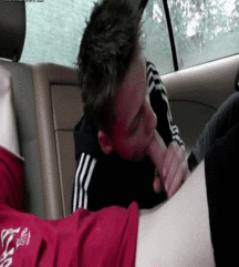PH-7 57c2167855b24.gif