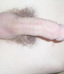 PH-8 57c3454d56d0e.jpg