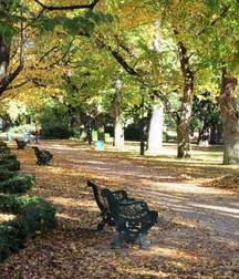 my home town 57c0e0feebc6e.jpg