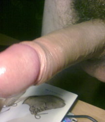 boys Polish young sex 585917e1d00a6.jpg