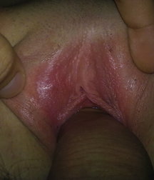 boys Polish young sex 5859181ad9e39.jpg
