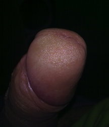 boys Polish young sex 5859187d59fb8.jpg