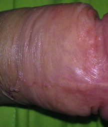 boys Polish young sex 58591880366a2.jpg
