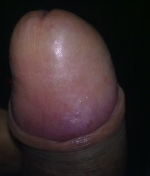 boys Polish young sex 58591890aadff.jpg