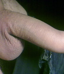 boys Polish young sex 585918d92ab8a.jpg