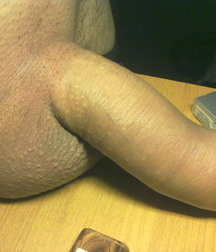 boys Polish young sex 585918e7da684.jpg