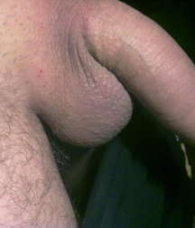 boys Polish young sex 585918f179e09.jpg