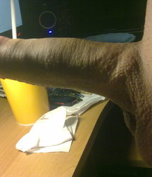 boys Polish young sex 58591915e01d9.jpg