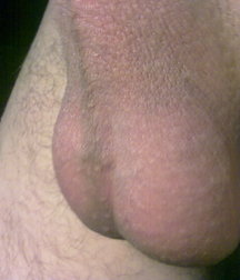 boys Polish young sex 58591928d1c6a.jpg
