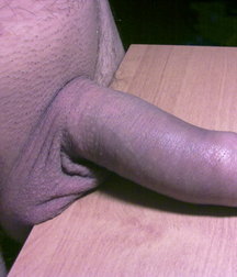 boys Polish young sex 5859194377b13.jpg