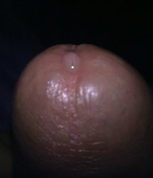 boys Polish young sex 58591a86ea7d8.jpg