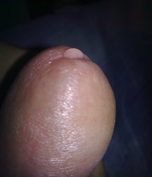 boys Polish young sex 58591a8f58db9.jpg