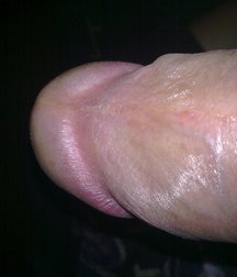 boys Polish young sex 58591ab3729ff.jpg