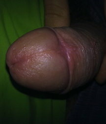 boys Polish young sex 58591afe371ee.jpg