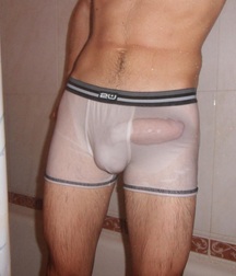transparencies 5835a62523f3d.jpg