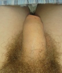 cocks for all desires 585951c4cbdbb.jpg