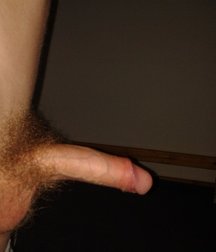 cocks for all desires 585951c6e8eeb.jpg