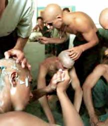  shearing 585e2fad09e63.jpg