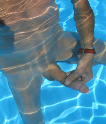 Sexy blue pool 586ea5dcb568b.jpg