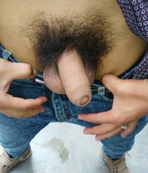 guys from mexico 587236ae2ee3a.jpg