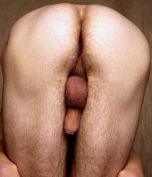 Total exposure of the anus 587a7d67179df.jpg