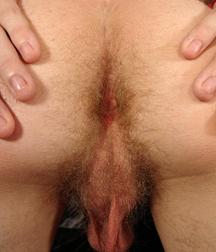 ass boys 5882046d2d92d.jpg