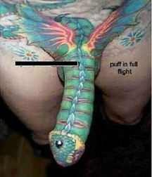 crazy tattoos 588732e0b2d43.jpg