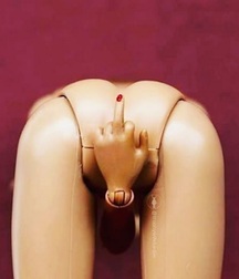 funny and strange photos 588f947e7f45d.jpg