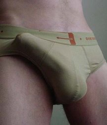 erection cock in the pants 58c7cf2334a96.jpg