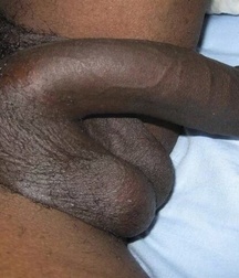 big cocks blacks 58e39c3381148.jpg