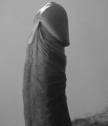 seen up close (but in black and white) 58ee98ea3c5bc.jpg