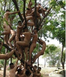 many friends all naked 58f4ae5dd74de.jpg