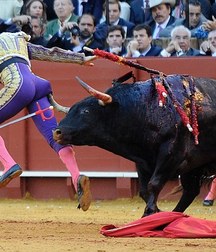 Sometimes it is the bull to win 58f8445302513.jpg