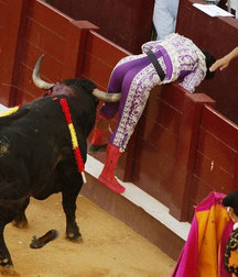 Sometimes it is the bull to win 58f84453c8d3d.jpg