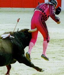 Sometimes it is the bull to win 58f84454b252a.jpg