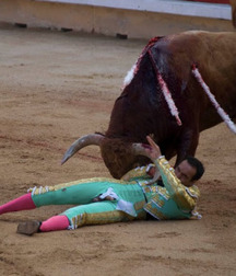 Sometimes it is the bull to win 58f84455a221e.jpg