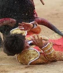 Sometimes it is the bull to win 58f844568884f.jpg