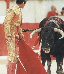 Sometimes it is the bull to win 58f844596e486.jpg