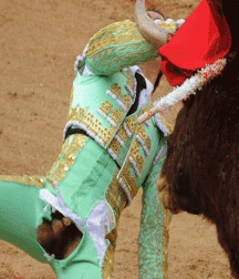 Sometimes it is the bull to win 58f8445b3b328.gif